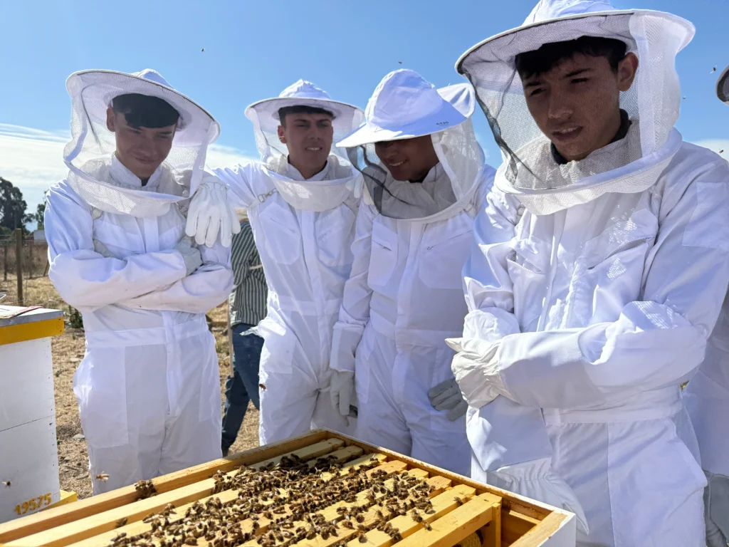 Jóvenes estudiantes