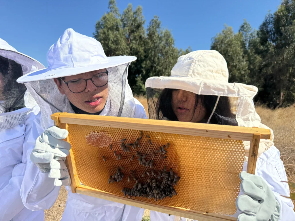 Estudiantes con panal de abejas