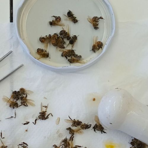 Diseño sin título - 93