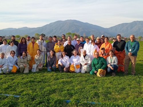 Curso manejo de colmena