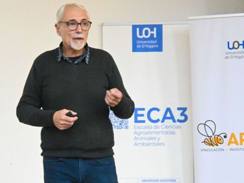 Curso nutrición apícola 