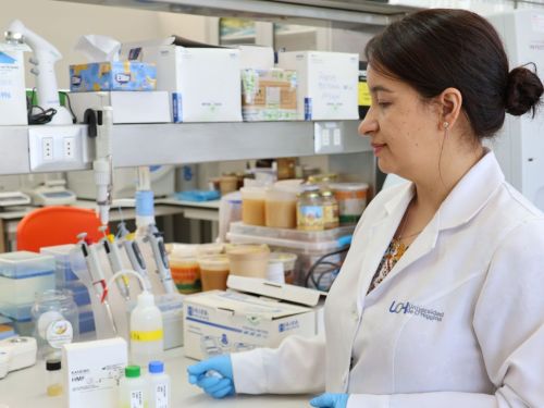 Laboratorio