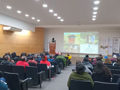 Taller de reproducción apícola