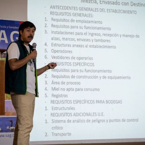 Fotos apiuoh - 11
